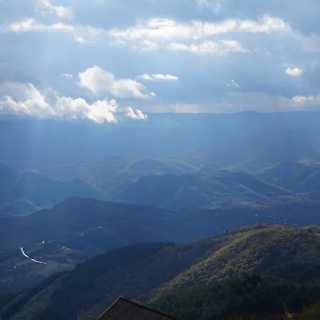 F10 Milmari Kopaonik