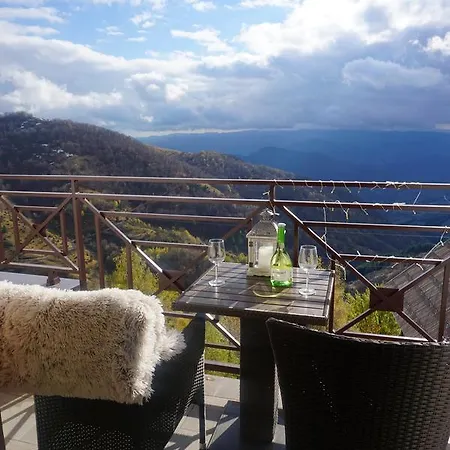 F10 Milmari * Kopaonik